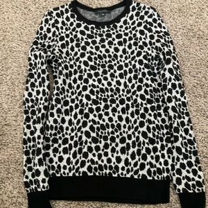 Ann Taylor Sweater